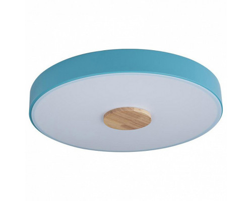 Накладной светильник Loft it Axel 2 10003/24 Blue
