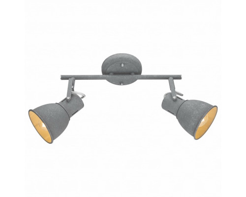 Спот Arte Lamp 1677 A1677PL-2GY