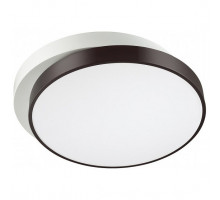 Накладной светильник Lumion Agatha 4509/72CL