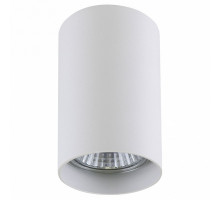 Накладной светильник Lightstar Rullo 214436