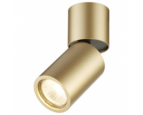 Накладной светильник Odeon Light Duetta 3895/1C
