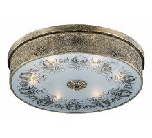 Накладной светильник Odeon Light Aster 2782/6C