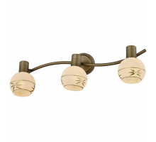 Спот TopLight Sharleen TL3790Y-03AB