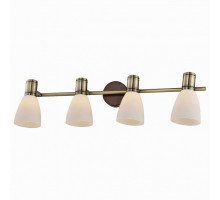 Спот TopLight Sharyl TL3720Y-04BB