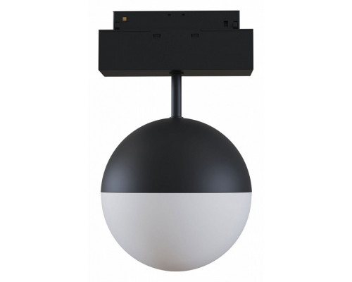 Светильник на штанге Maytoni Track lamps TR017-2-10W3K-B