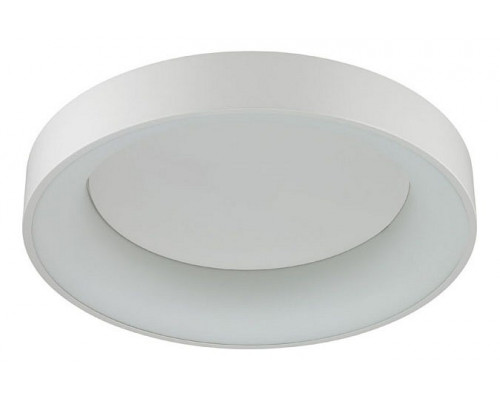 Накладной светильник Odeon Light Sole 4062/50CL