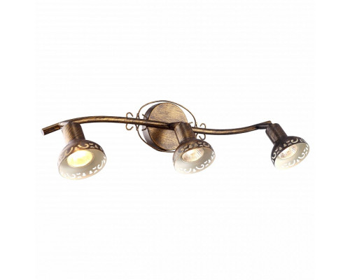 Спот Arte Lamp Focus A5219PL-3BR