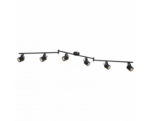 Спот Arte Lamp 1310 A1310PL-6BK