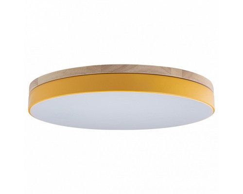 Накладной светильник Loft it Axel 10001/36 Yellow