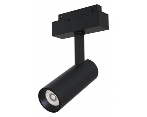 Светильник на штанге Maytoni Track lamps TR019-2-10W4K-B