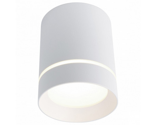 Накладной светильник Arte Lamp 1909 A1909PL-1WH