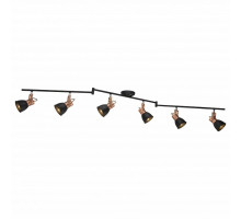 Спот Arte Lamp 1677 A1677PL-6BK
