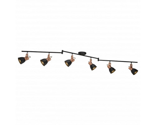 Спот Arte Lamp 1677 A1677PL-6BK