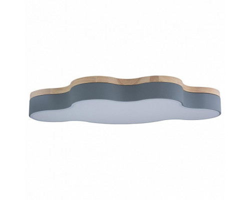 Накладной светильник Loft it Axel 4 10005/36 Grey