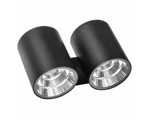Светильник на штанге Lightstar Paro LED 372572