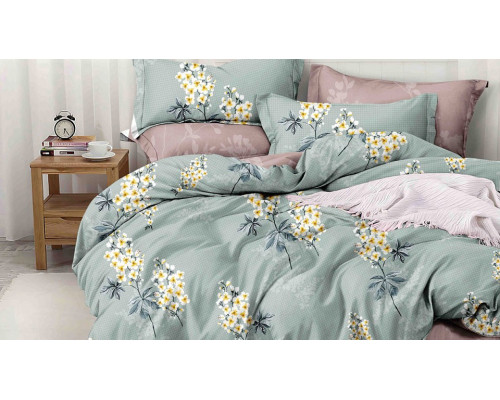 Постельное белье двуспальное Pure Cotton 192-PC