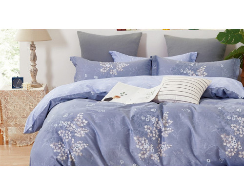 Постельное белье полутораспальное Satin de Luxe 791-SK