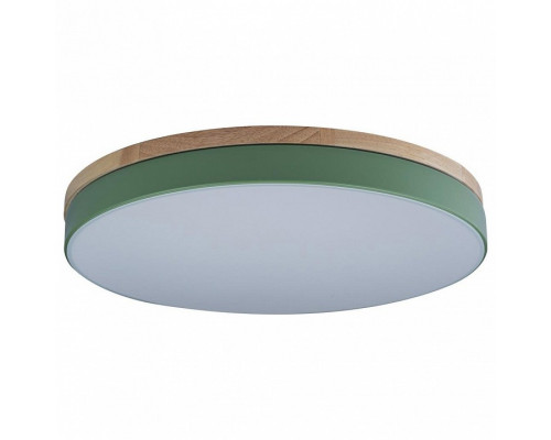 Накладной светильник Loft it Axel 10001/36 Green