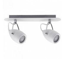 Спот Paulmann Drop 66715