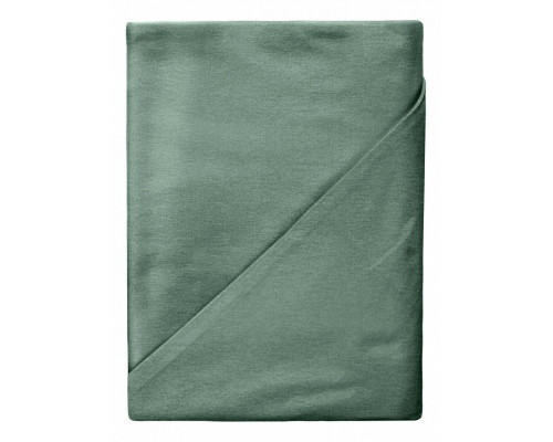 Набор из 2 наволочек (50x70 см) Emerald