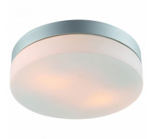 Накладной светильник Arte Lamp Aqua A3211PL-2SI
