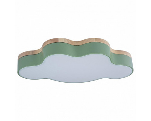 Накладной светильник Loft it Axel 4 10005/30 Green