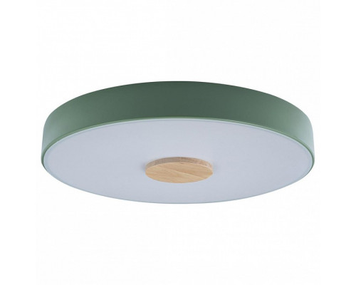 Накладной светильник Loft it Axel 2 10003/24 Green