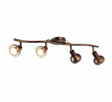 Спот Arte Lamp Focus A5219PL-4BR