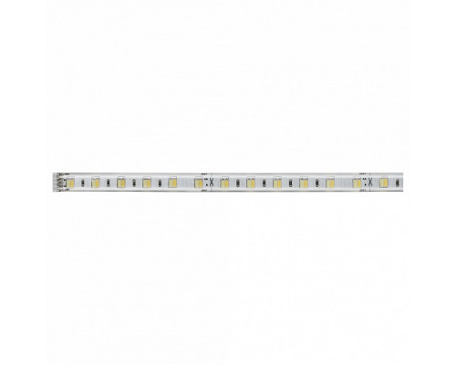 Лента светодиодная Paulmann MaxLED 70629