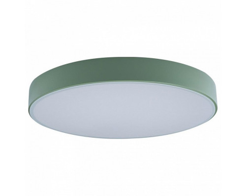 Накладной светильник Loft it Axel 1 10002/24 Green
