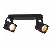 Спот Arte Lamp Lente A1314PL-2BK