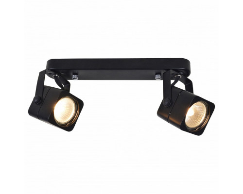 Спот Arte Lamp Lente A1314PL-2BK
