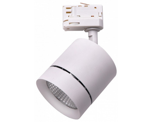 Светильник на штанге Lightstar Canno 301564