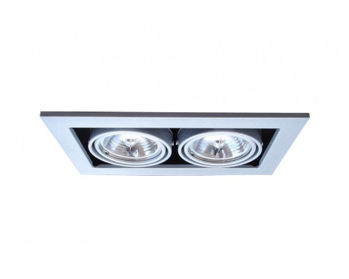 Встраиваемый светильник Arte Lamp Technika 2 A5930PL-2SI