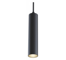 Подвесной светильник Maytoni Track lamps TR016-2-12W3K-B