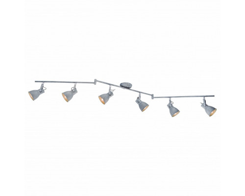 Спот Arte Lamp 1677 A1677PL-6GY