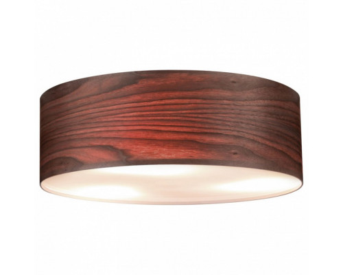 Накладной светильник Paulmann allCeiling 79687