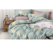 Постельное белье полутораспальное Pure Cotton 192-PC