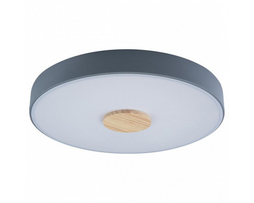Накладной светильник Loft it Axel 2 10003/24 Grey
